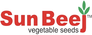 Sun Beej